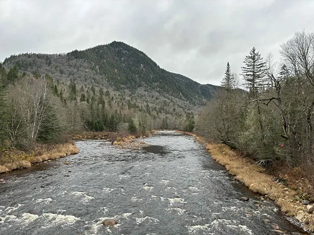 Trail du Grand Duc 2025 - Parc de la Jacques Cartier